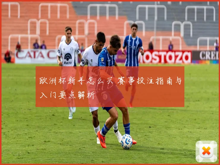 欧洲杯新手怎么买 赛事投注指南与入门要点解析