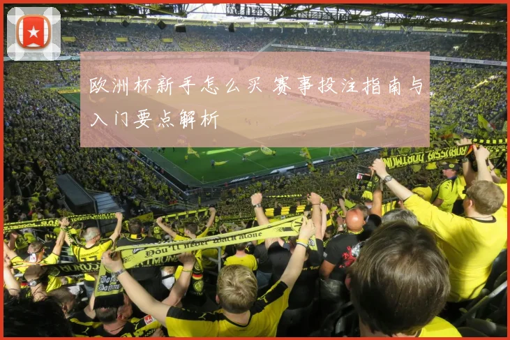 欧洲杯新手怎么买 赛事投注指南与入门要点解析