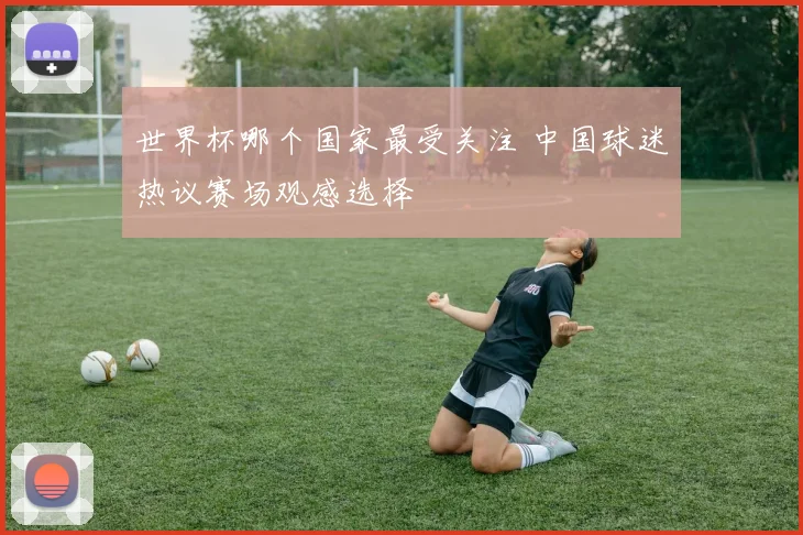 世界杯哪个国家最受关注 中国球迷热议赛场观感选择
