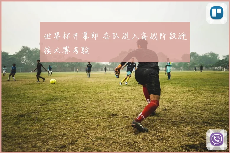 世界杯开幕即 各队进入备战阶段迎接大赛考验